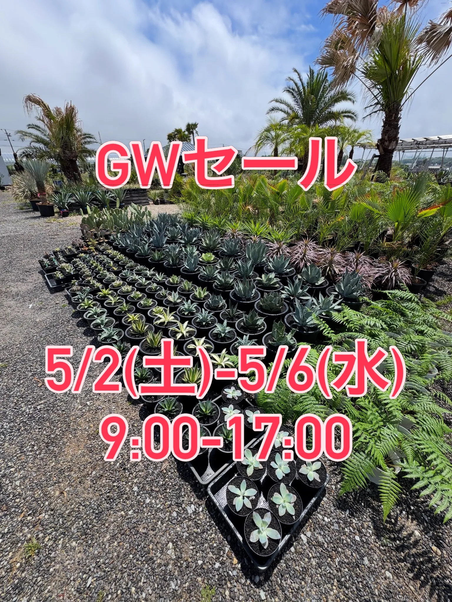 5/2〜5/6はGWセール🎉