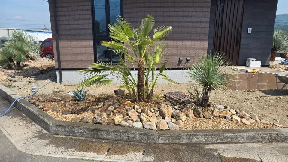 大物のユッカを使い植栽