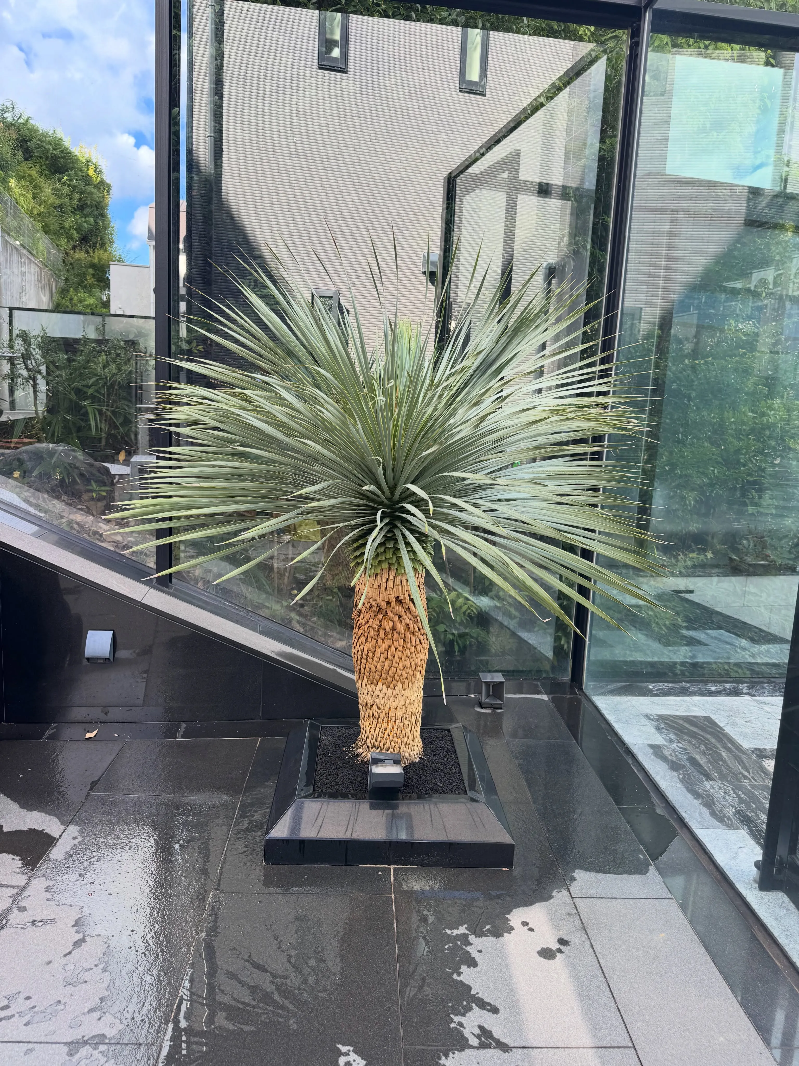 今週は神戸 芦屋市でのご依頼でした。