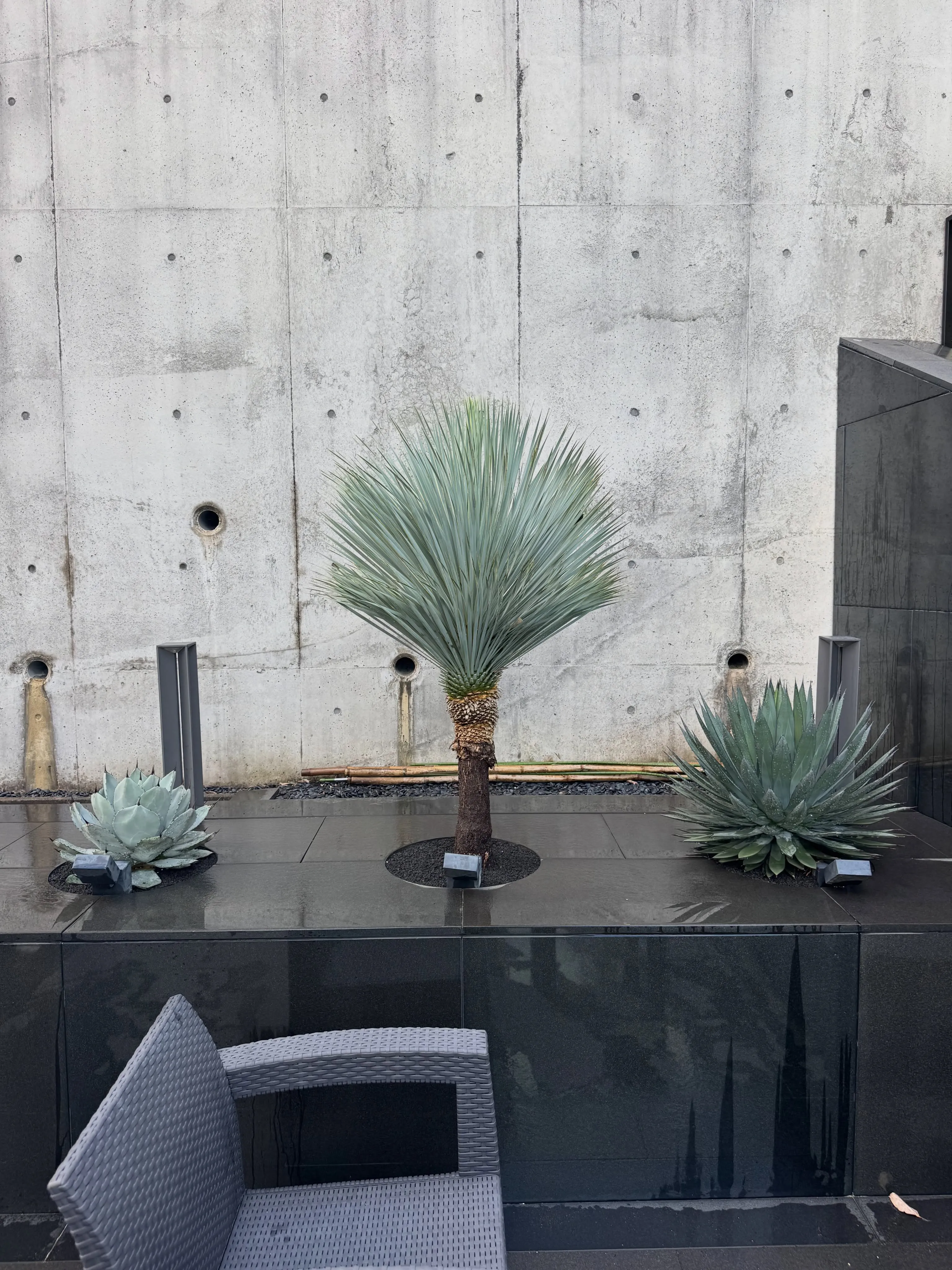 今週は神戸 芦屋市でのご依頼でした。