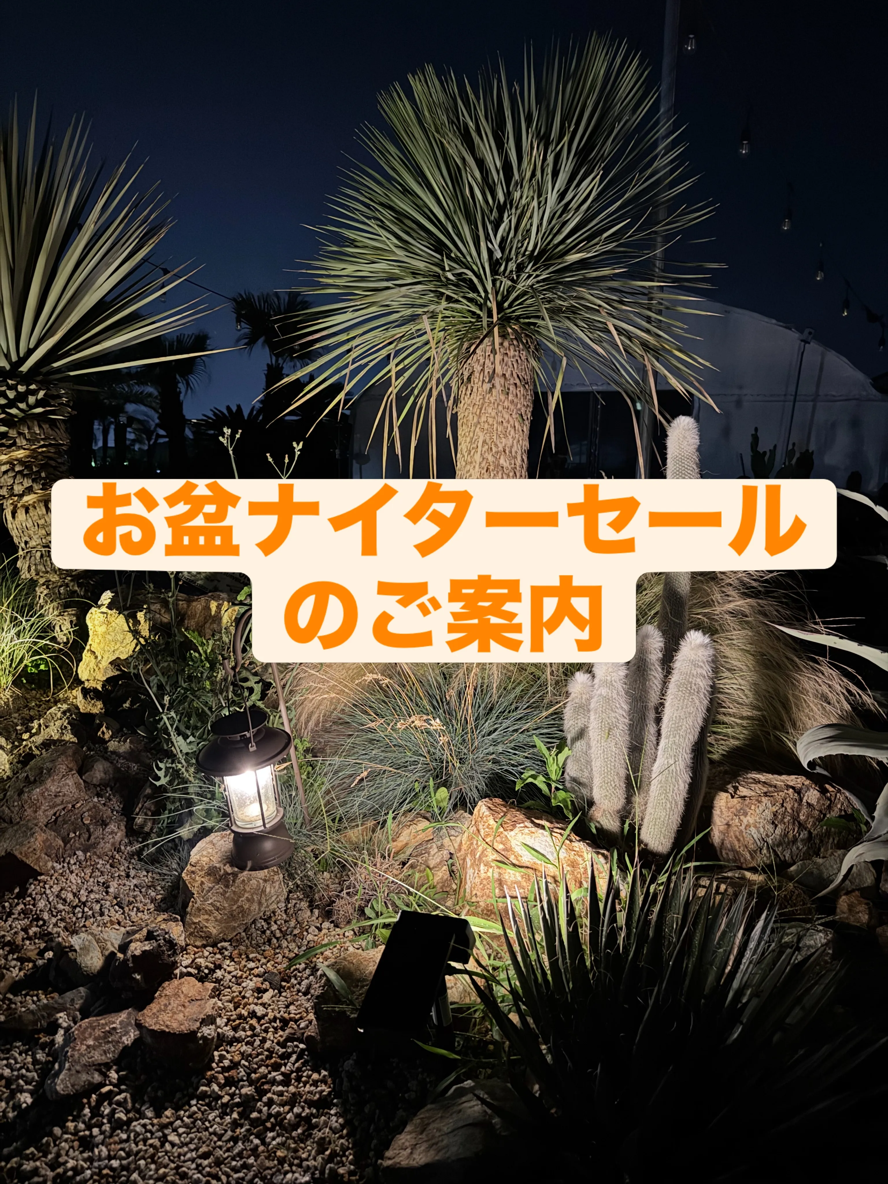 今週は毎年恒例のお盆ナイター営業を行いたいと思います。