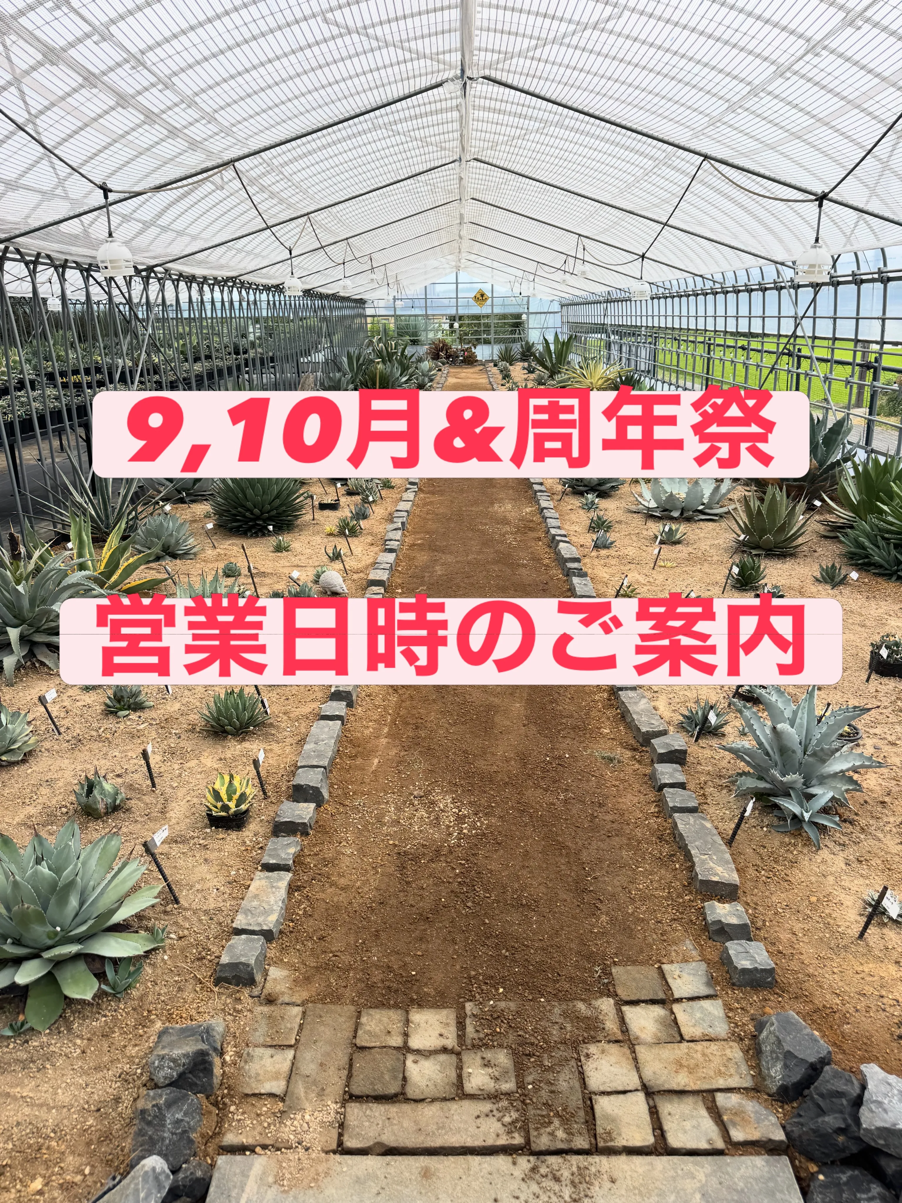 9月、10月の営業日時のご案内になります。